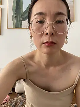 you-520 webcam