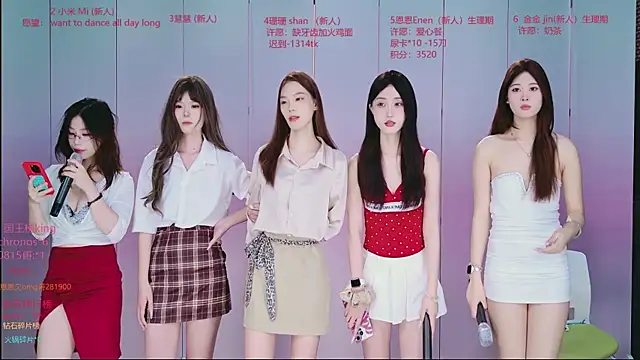 Ts--001 webcam