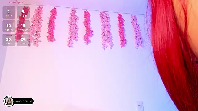Michelle_se webcam