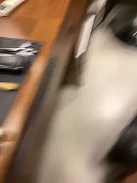 Chloe_Leaozinho