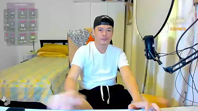 clarkdangerous webcam