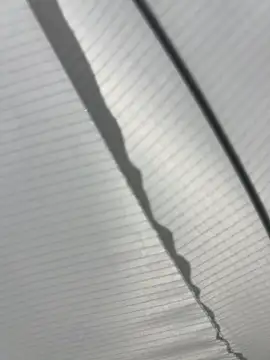 yanzi_269