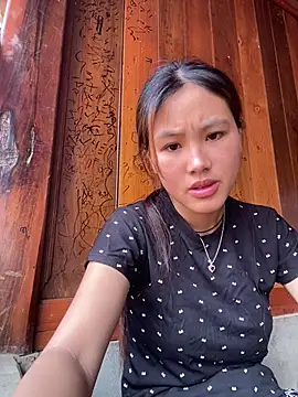 hoa_mai webcam
