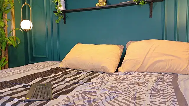 ale_cam webcam