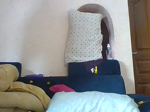 Favor-luxe webcam