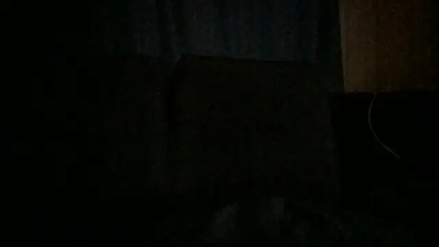 B1gSticc webcam