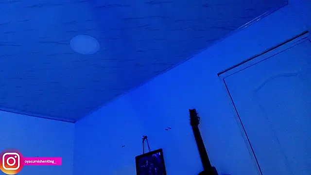 Nicorobinn webcam