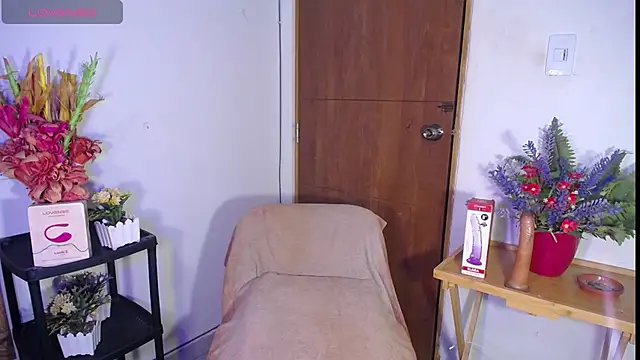 OverStyle webcam
