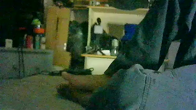 CR3M3_FIR3 webcam