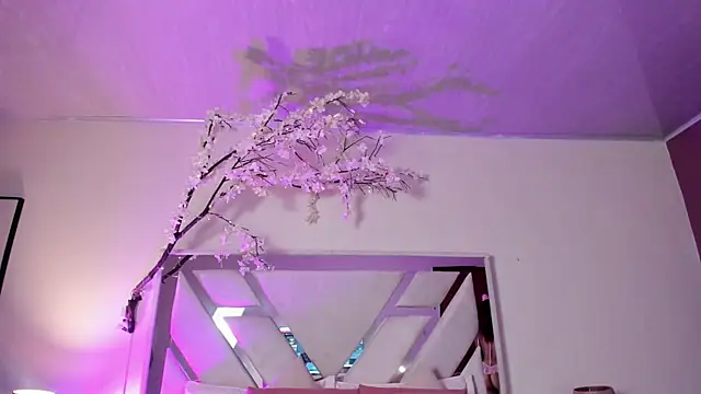 Francis_lumiere webcam