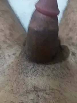 S1sexydick webcam