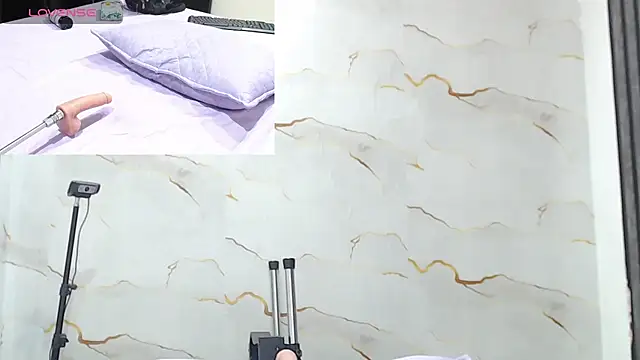 Liaa_cams webcam