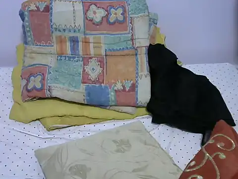 playfullnova webcam