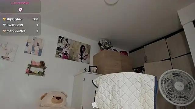 Veronikolsen- webcam