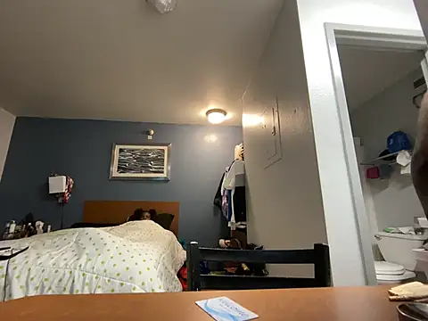 Tattedupdek webcam