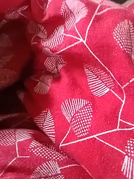 Hotbhabhi_089 live cam on StripChat