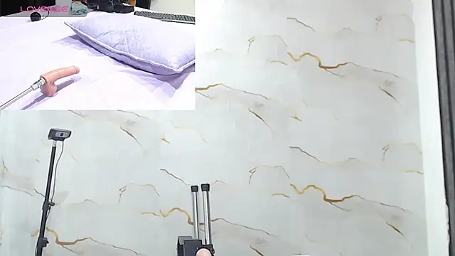 Liaa_cams webcam