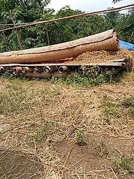 Bella-Camel webcam