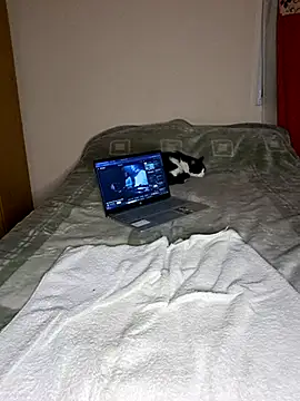 Moonev21 webcam