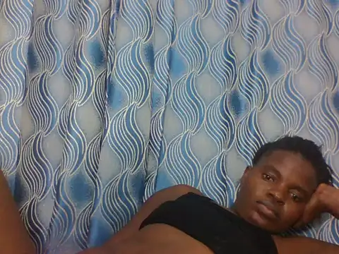 PrettyEve webcam