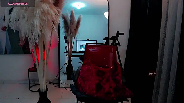 dark_sailent webcam