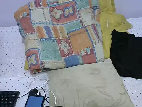 playfullnova webcam