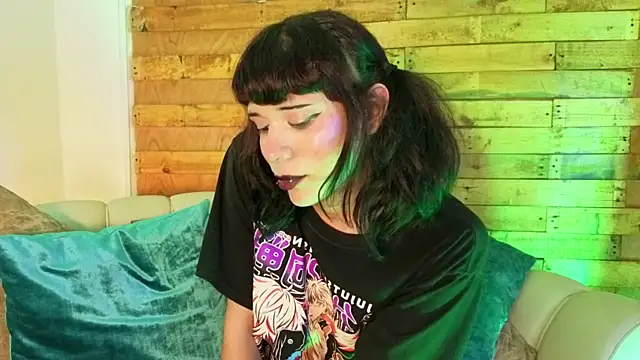 pixy_20 webcam