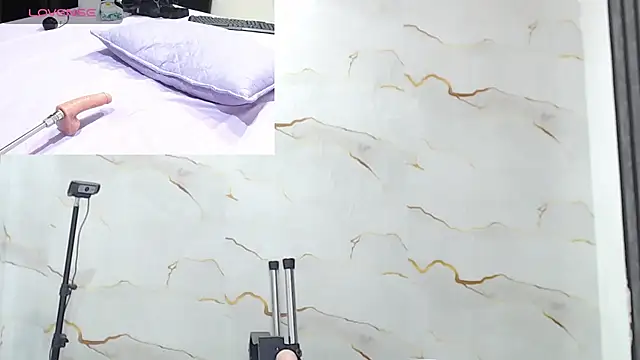 Liaa_cams webcam