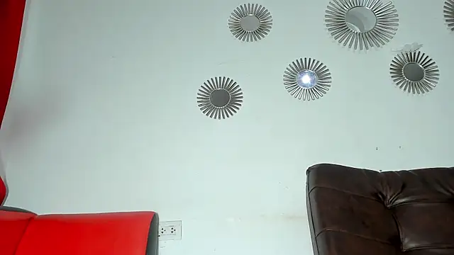 Extreme_Team8 webcam