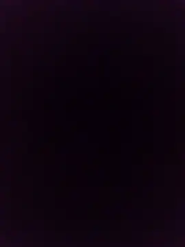 sexysexylaky webcam