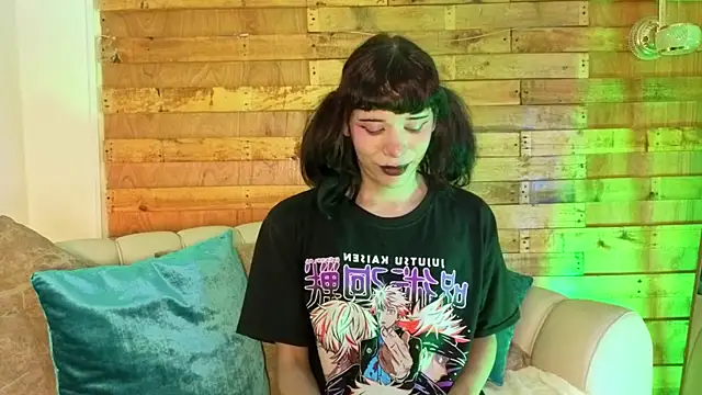 pixy_20 webcam