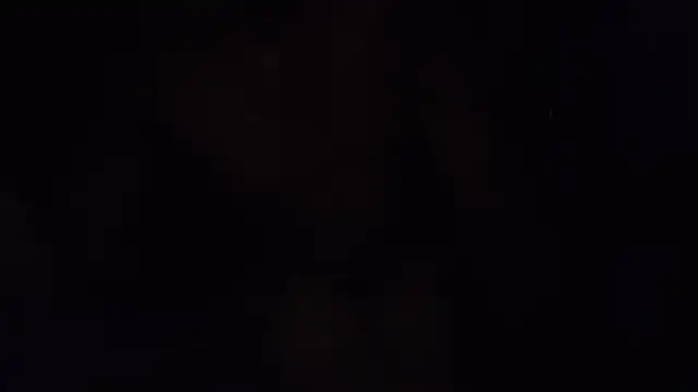 ZeldaSneakyLink