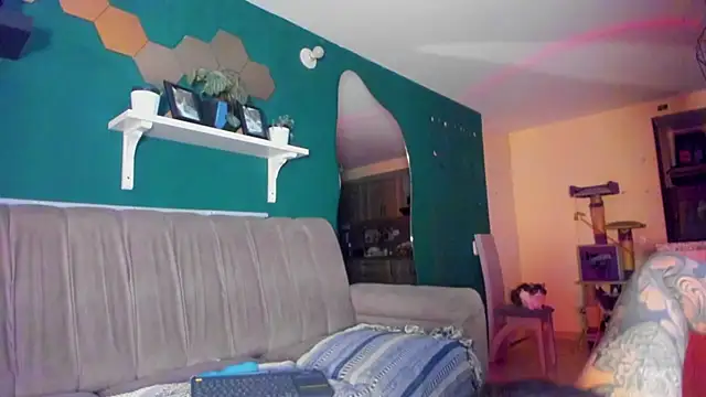 evy_orange1 webcam