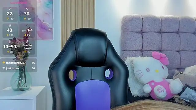 1Sloppy_Fox4 webcam