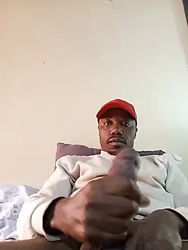 st11 webcam