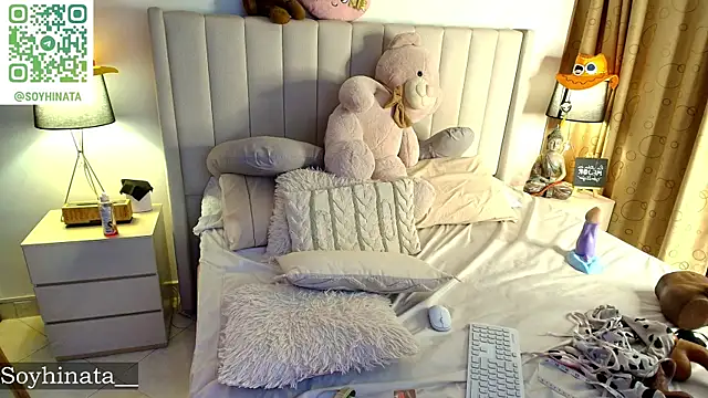 Soyhinata_ webcam