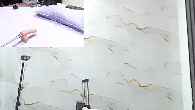 Liaa_cams webcam