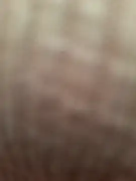 -Tara-a webcam