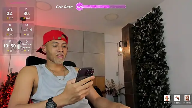 B_Wild webcam