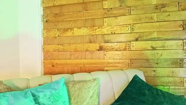 pixy_20 webcam