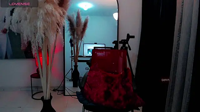 dark_sailent webcam