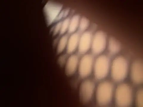 ChocolateBoy-Pussy webcam