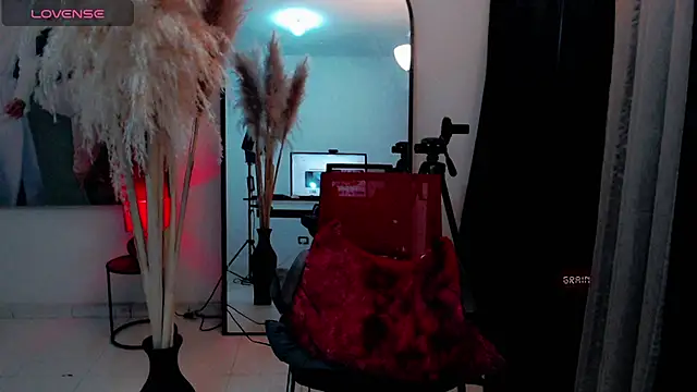 dark_sailent webcam