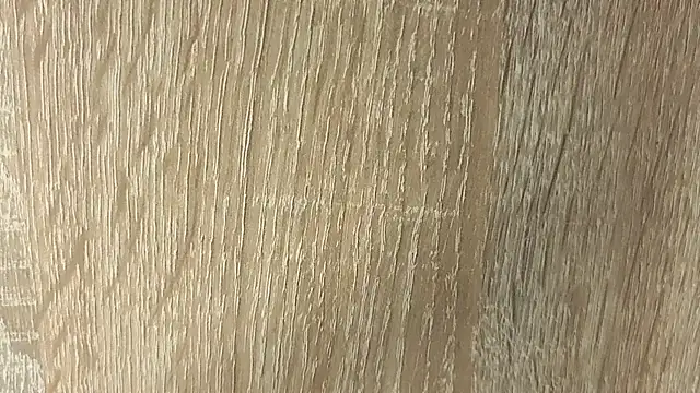 NoFace_Model webcam
