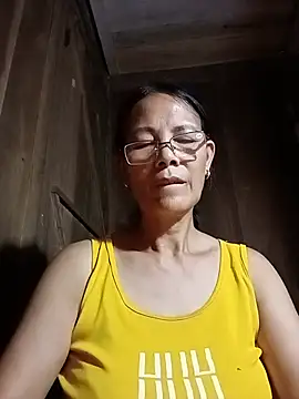 toyo_668 webcam