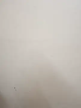 Moonlight-Babe live cam on StripChat