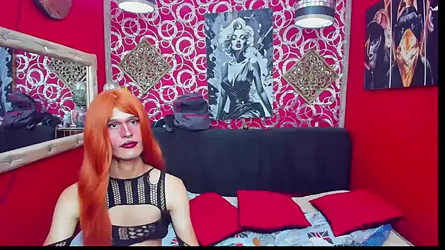 shannentrans's room
