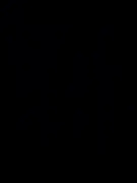 Demillvan webcam