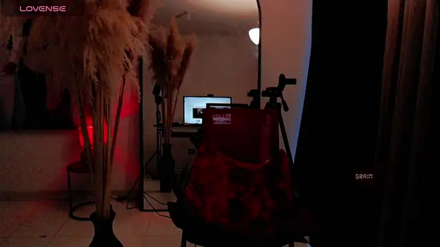 dark_sailent webcam
