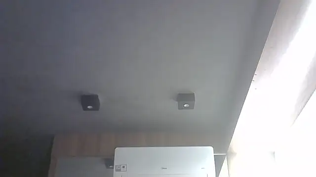 SkinnyKitten webcam
